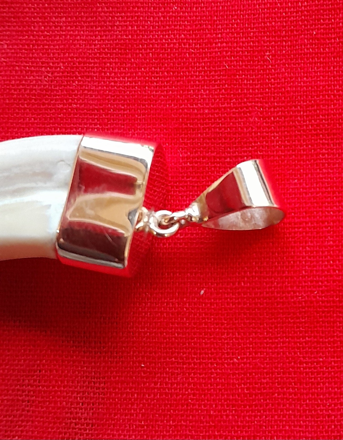 WHTP Warthog tusk 9ct gold pendant