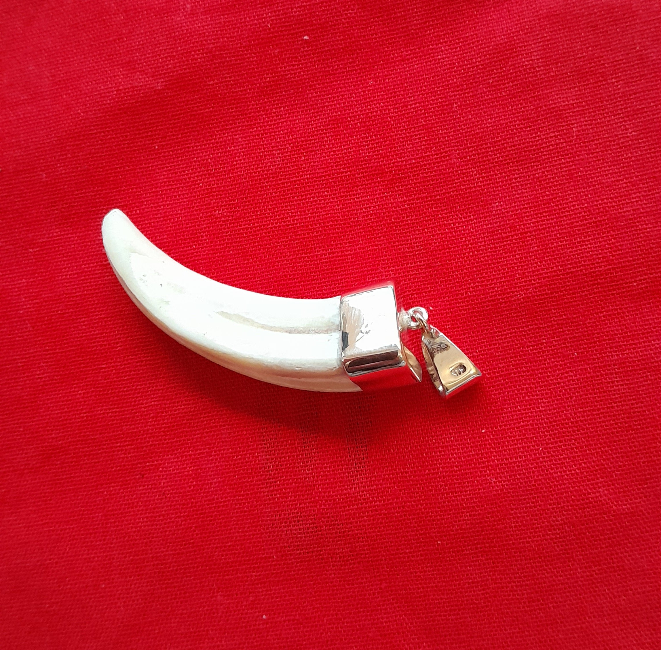 WHTP Warthog tusk 9ct gold pendant