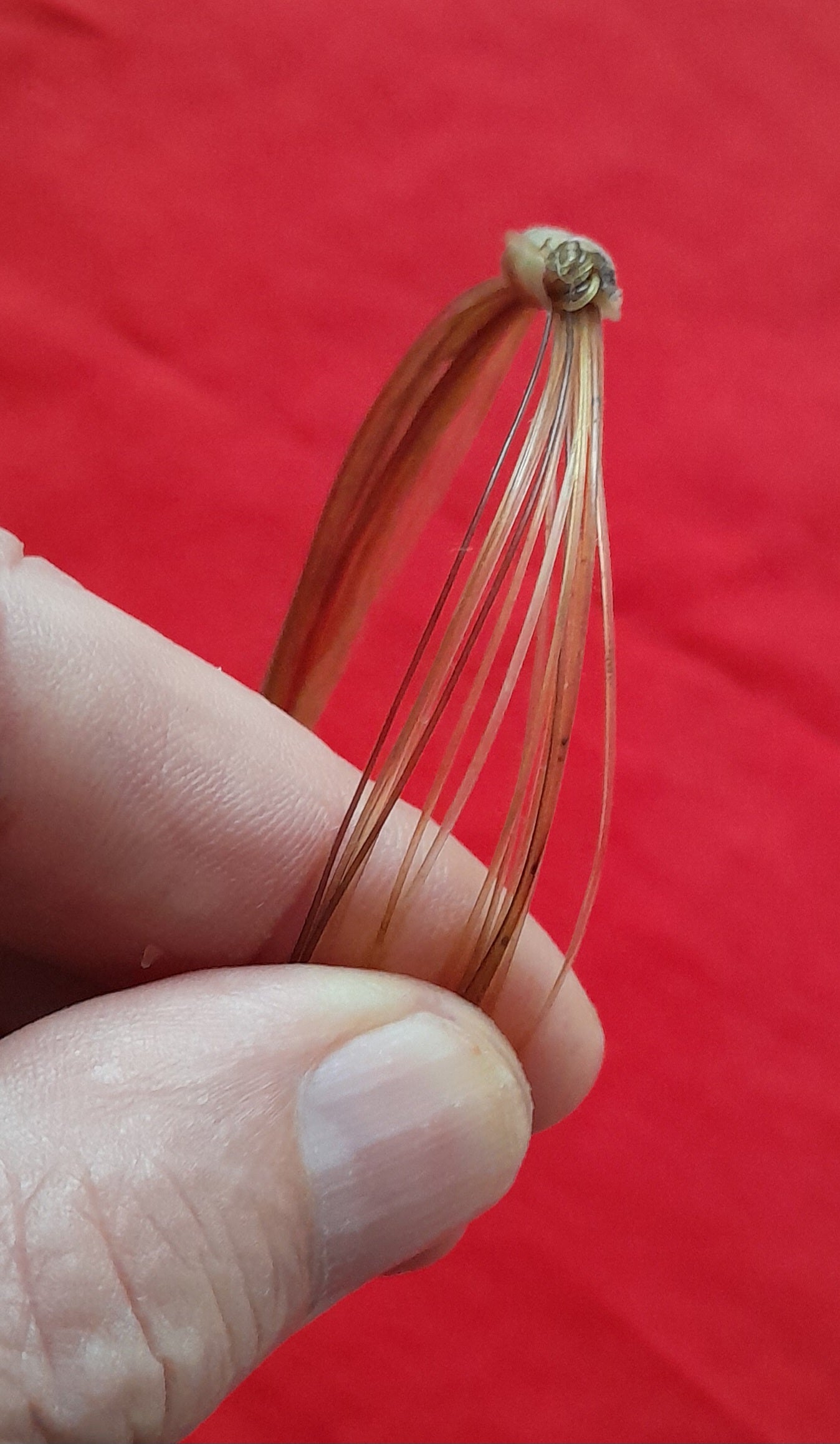 GIR16 Genuine off white giraffe hair bracelet with white knots.