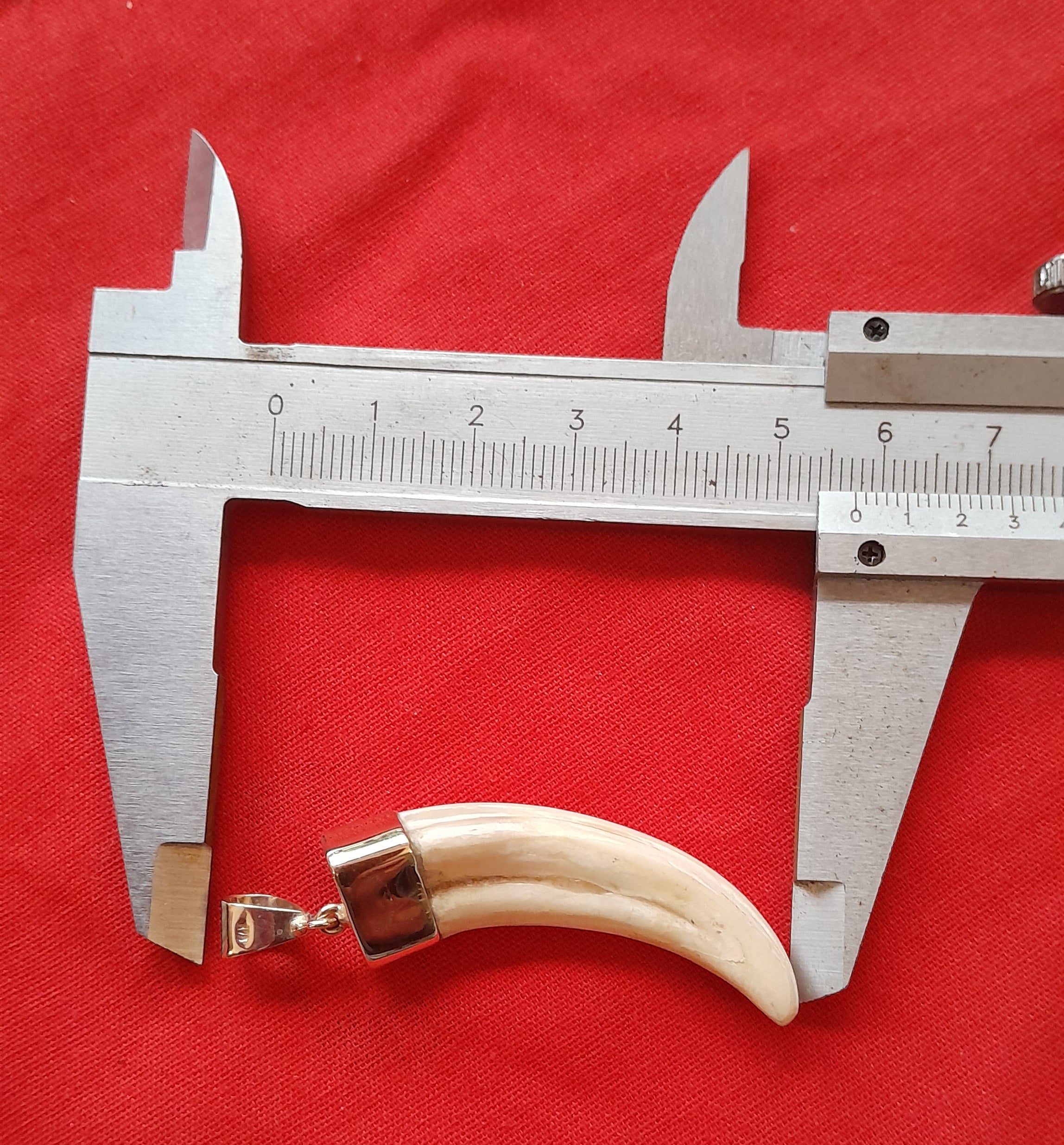 WHTP Warthog tusk 9ct gold pendant