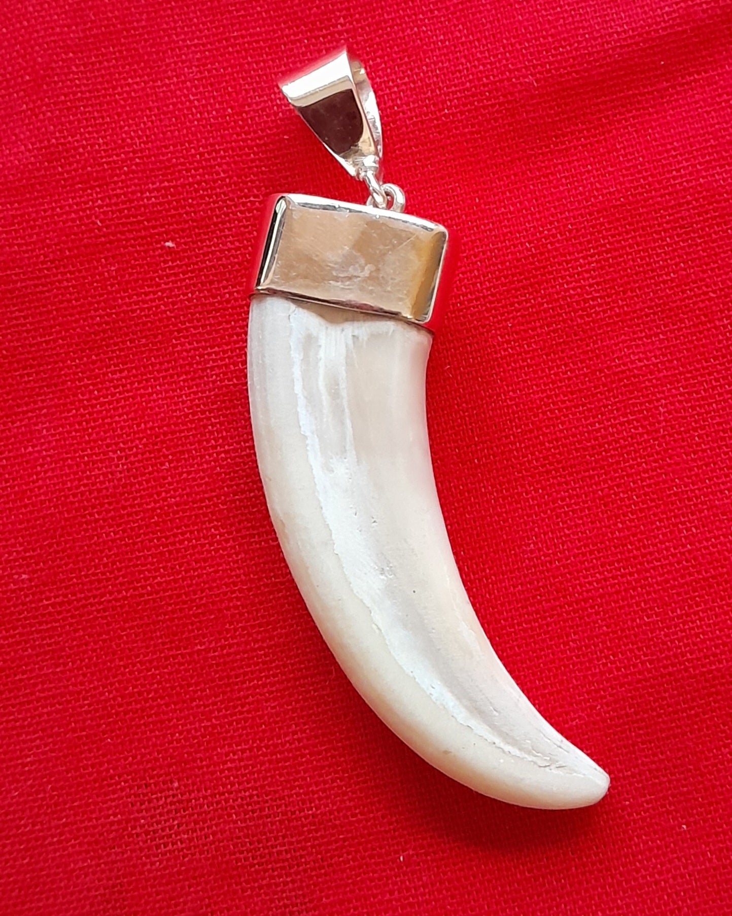 WHTP Warthog tusk 9ct gold pendant